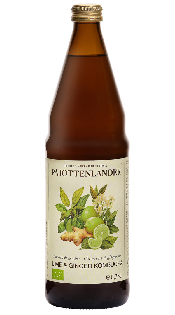 Kombucha lima y jengibre PAJOTTENLANDER 75 cl