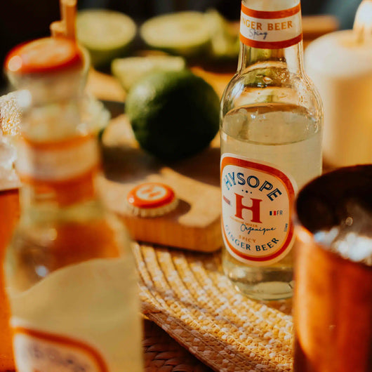 Ginger Beer spicy Bio Hysope 20 cl Sanzalc, cave sans alcool pour adultes décomplexés